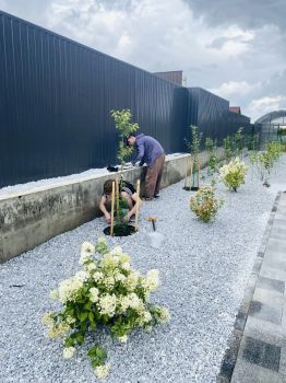 Image 26 08 26 09 11